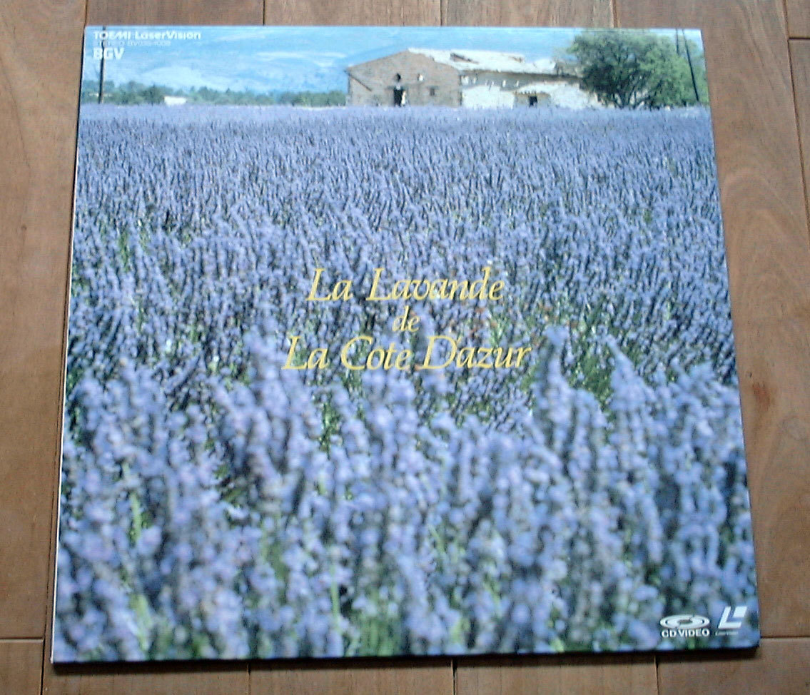 コート・ダジュールのラベンダー拍卖