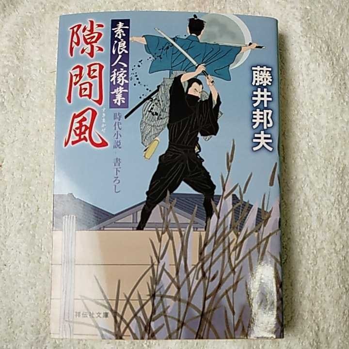 隙間風 素浪人稼業13 (祥伝社文庫) 藤井 邦夫 9784396342326拍卖