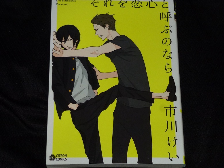 ★それを恋と呼ぶのなら★市川けい★送料112円拍卖