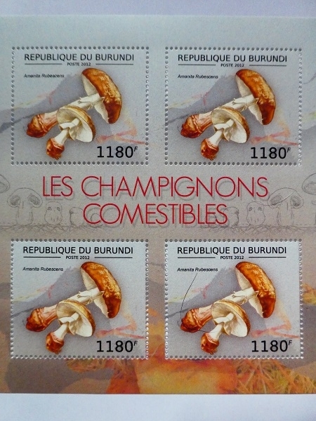 ブルンジ切手『きのこ』2012 A-b拍卖