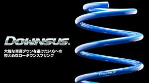 代引不可 エスペリア ダウンサス【ESN-5419F】ニッサン NV100クリッパー フロント用拍卖