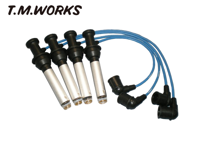 T.M.WORKS Ignite REV トヨタ RAV4 ZCA25/26W (00/5-05/11) (純正コイルNo確認要)拍卖