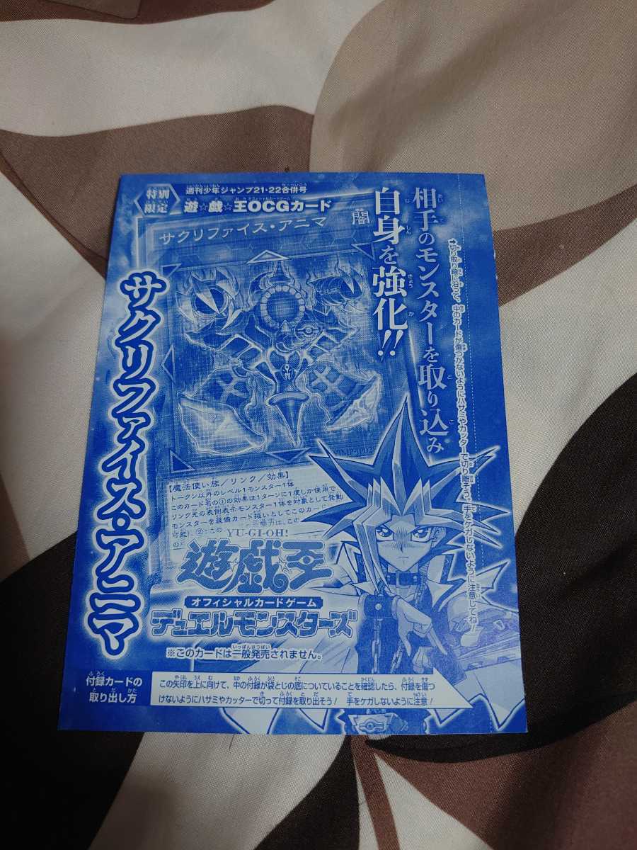 遊戯王 カード 週間少年ジャンプ限定 新品 サクリファイス・アニマ拍卖