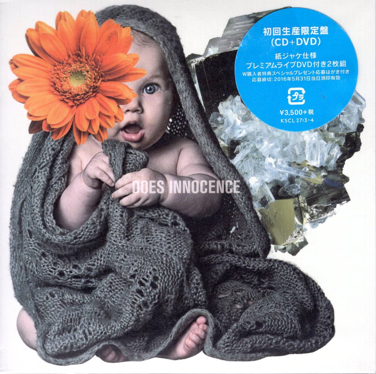 DOES  INNOCENCE(初回生産限定盤)(DVD付) 紙ジャケット仕様!バンド史上最高傑作アルバムが出来たとメンバー自負しています!送料無料!拍卖