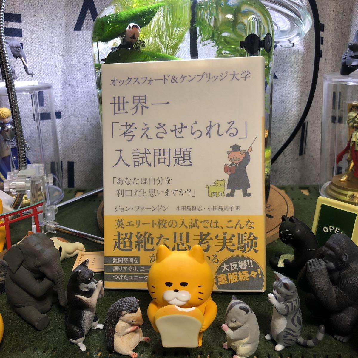 世界一「考えさせられる」入試問題 オックスフォード&ケンブリッジ大学 ジョン・ファーンドン拍卖