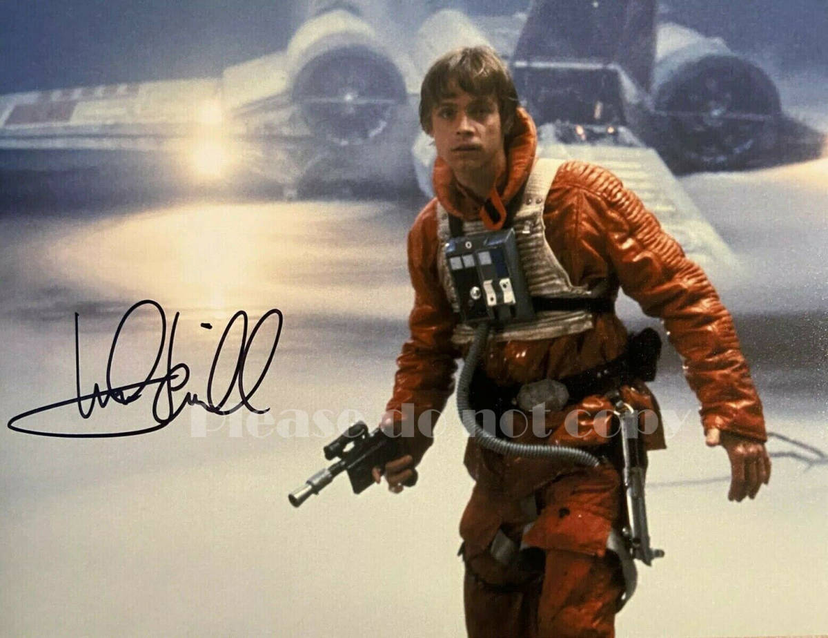 Star Wars Mark Hamill マーク・ハミル スター・ウォーズ ルーク・スカイウォーカー サインフォト拍卖