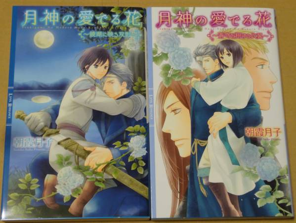 朝霞月子 月神の愛でる花 鏡湖に映る双影&蒼穹を翔ける比翼 2冊拍卖