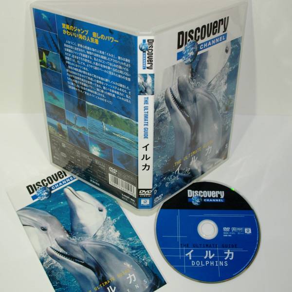 ディスカバリーチャンネル イルカ拍卖