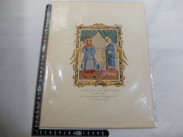 El20/アンティーク 手彩色 博物画 図譜 服飾 版画 エッチング 08拍卖