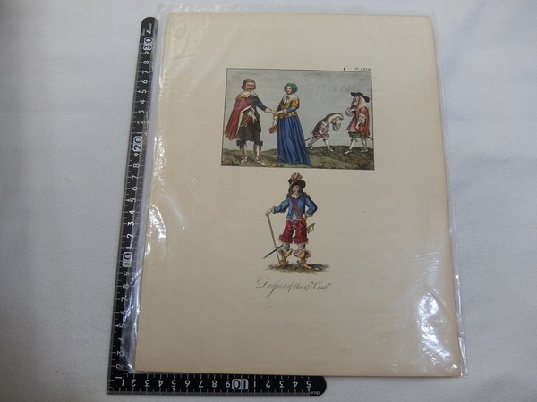 El20/アンティーク 手彩色 博物画 図譜 服飾 版画 エッチング 02拍卖