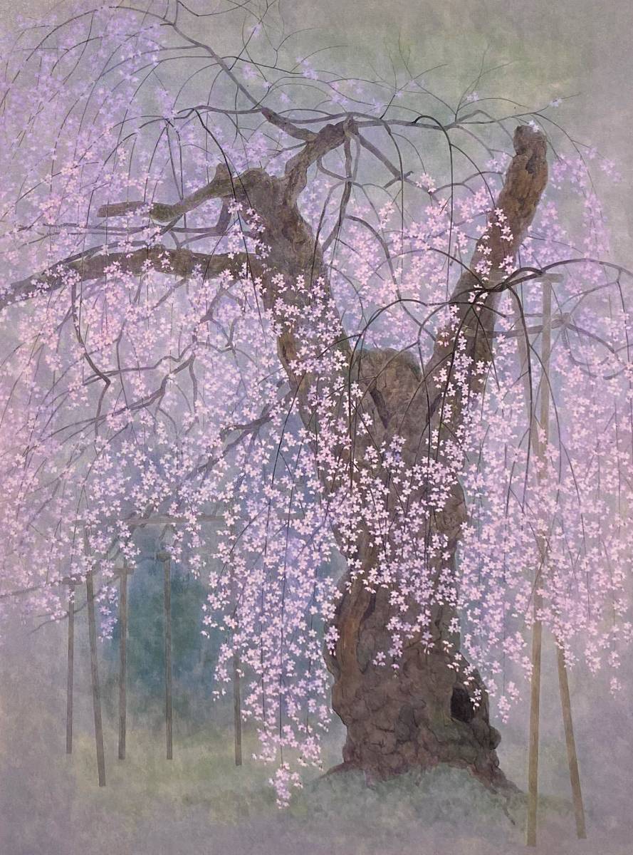 渡辺信喜、〈九重桜〉、希少画集画、高級新品額・額装付、状態良好、送料無料拍卖