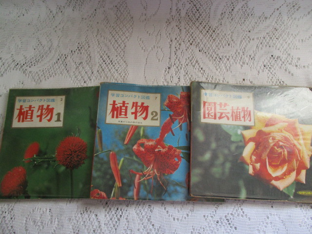 ☆学習コンパクト図鑑 3冊 植物 園芸植物 ひかりにくに☆拍卖