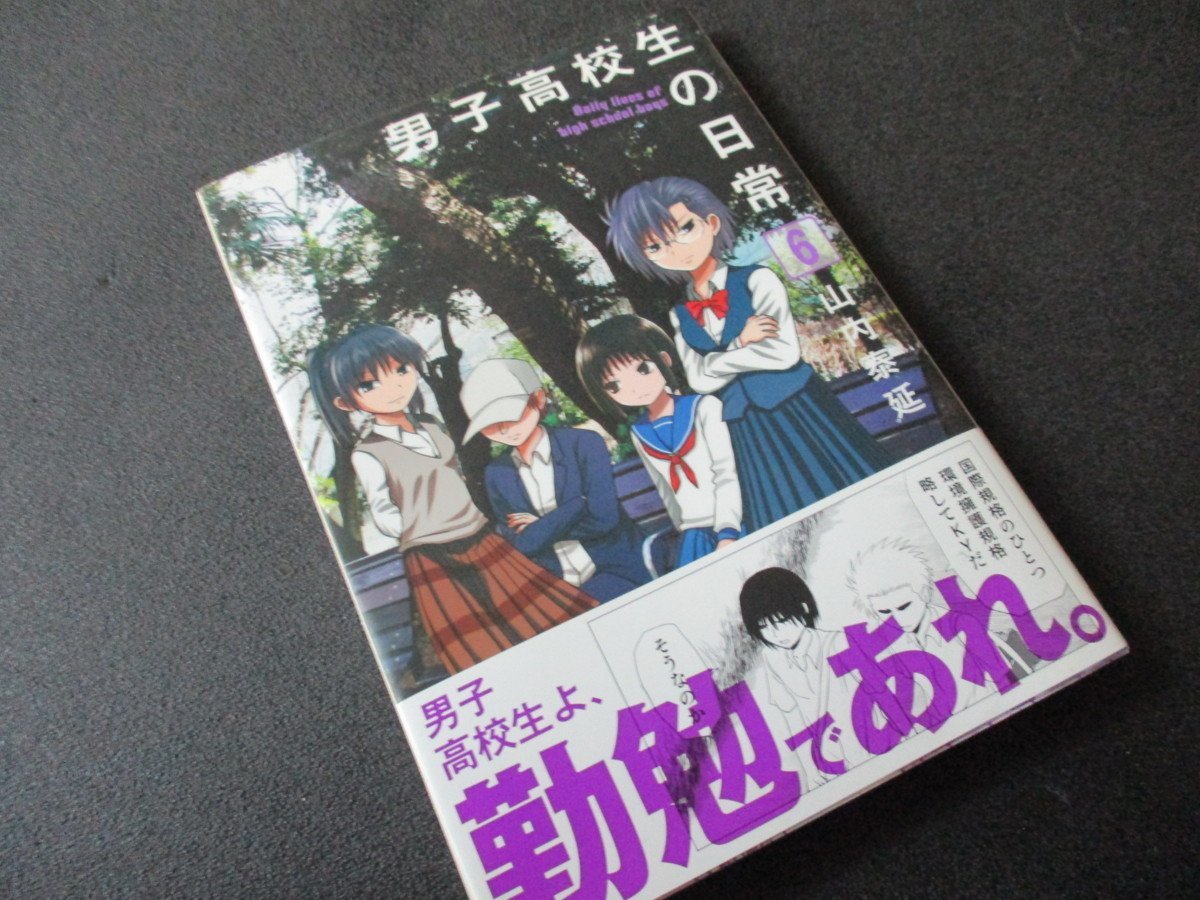 ★とちぎ屋!(株)スクウェア・エニックス 山内泰延【男子高校生の日常 6巻】★拍卖
