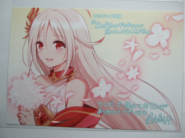 ワンダーグー 限定 真の実力はギリギリまで隠していようと思う 2巻 ポストカード 211127 特典 イラストカード WonderGOO 非売 亀小屋 サト拍卖