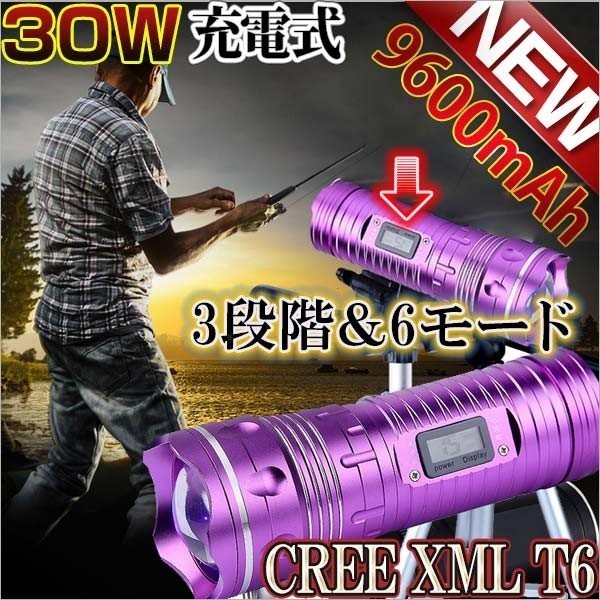 LED投光器 30W 高輝度LED ブルーライト LEDライト 懐中電灯 夜釣り 集魚灯 夜間作業 専用 LEDライト ブルーライトCREE社 CREE 30W XML T6拍卖