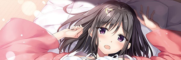 とらのあな C95カタログ B0タペストリー おりょう拍卖