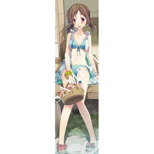 C80 sprite 恋と選挙とチョコレート 青海衣更 シャワータペストリー /春夏冬ゆう拍卖