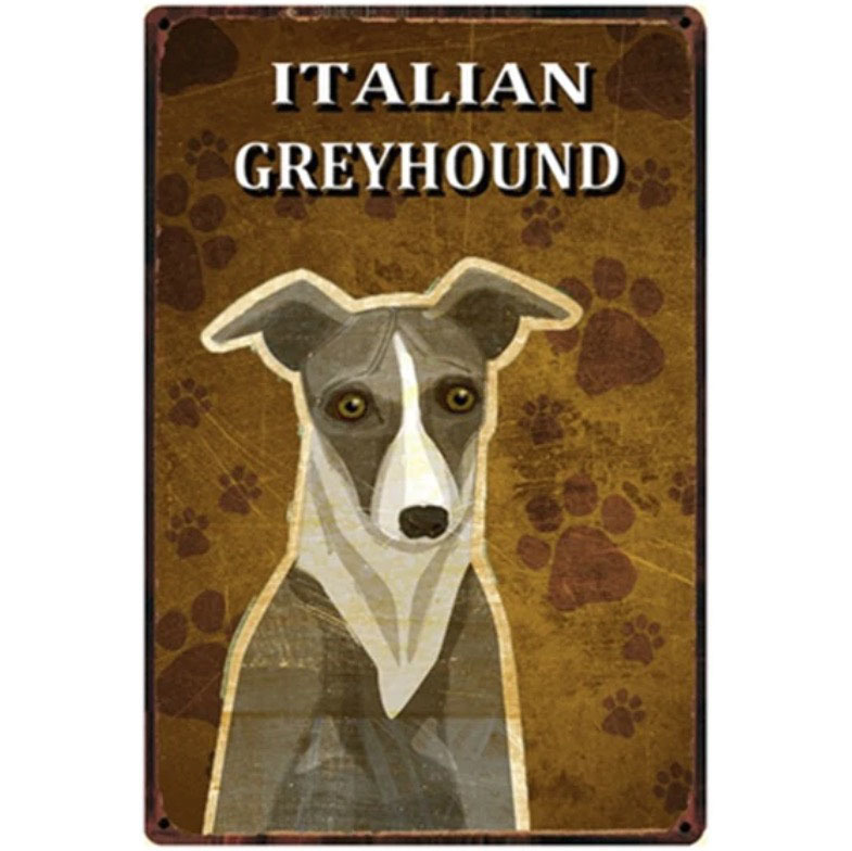 A1735 メタル サイン ブリキ 看板 金属 製 プレート アート パネル 店 動物 ペット 愛 犬 イタリアン グレイハウンド 2219拍卖