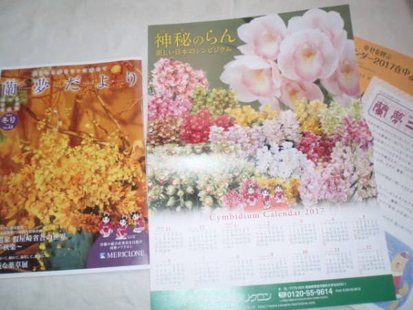 河野メリクロン蘭夢だより 2016冬2017カレンダー 假屋崎省吾拍卖