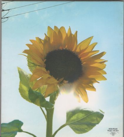 CD★東真紀/向日葵~一期一会の命~拍卖