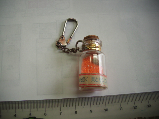 キーホルダー ■ 貝とサンゴと星砂 ■/#2961拍卖