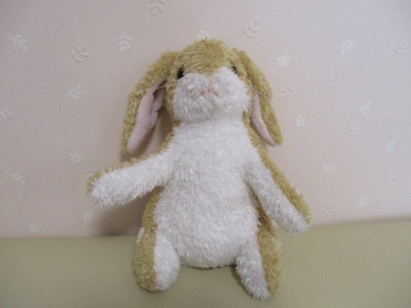 「可愛い ウサギ DOUGLAS ♪ 20119」拍卖