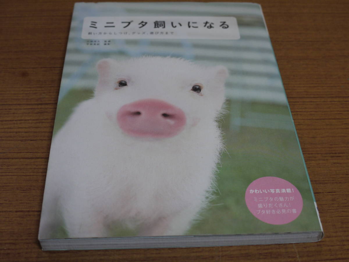 小林茂久監修●ミニブタ飼いになる-飼い方からしつけ、グッズ、遊び方まで-●誠文堂新光社拍卖