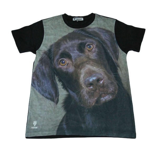 犬 ラブラドール ドッグ ペット わんこ 公園 散歩 ストリート系 デザインTシャツ おもしろTシャツ メンズ 半袖★M376L拍卖