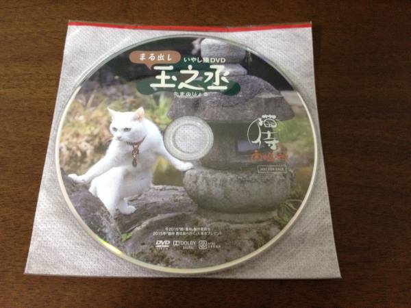 猫侍 南の島へ行く 入場者特典 まる出し玉之丞 DVD拍卖