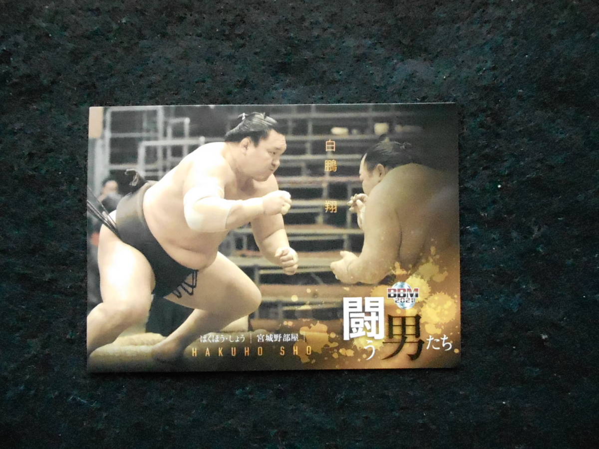 BBM2021 大相撲 白鳳 横綱 白翔 戦う男たち拍卖