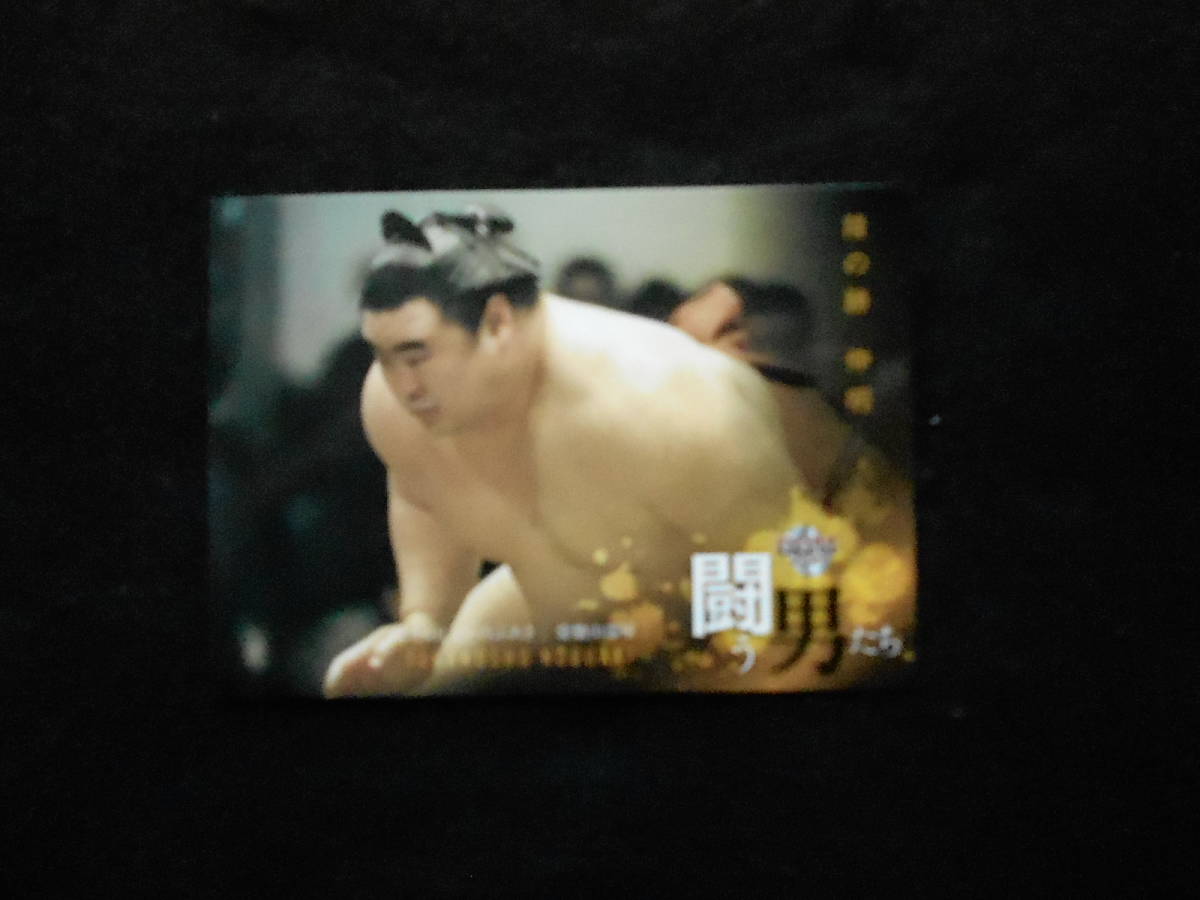 BBM2021 大相撲 隆の勝 関脇 隆の勝伸明 戦う男たち拍卖