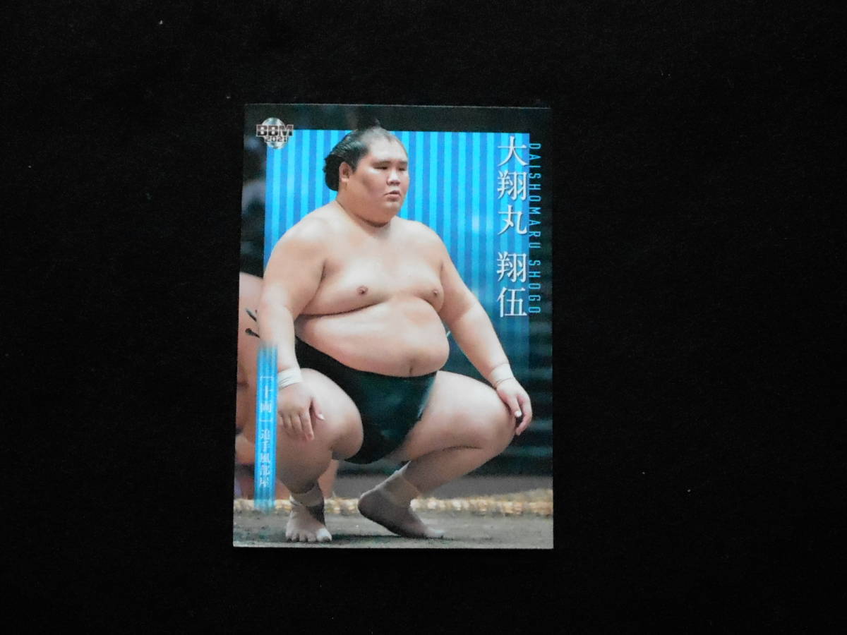 BBM2021 大相撲 大翔丸 十両拍卖