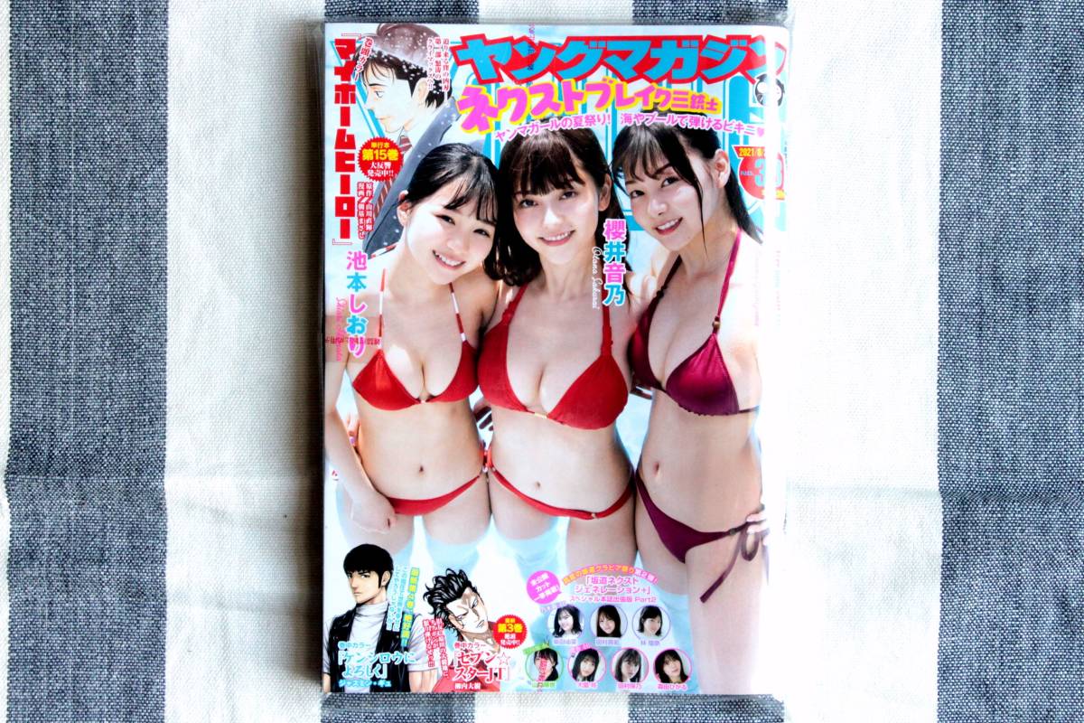 ヤングマガジン 櫻井音乃 池本しおり 吉澤遥奈 柴田柚菜 田村真佑 林瑠奈 山口陽世 大園玲 田村保乃 森田ひかる 乃木坂46 日向坂46 櫻坂46拍卖