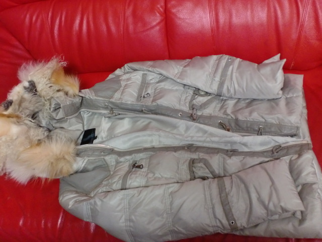 ダウン91% &シルバーフォックス.毛皮拍卖