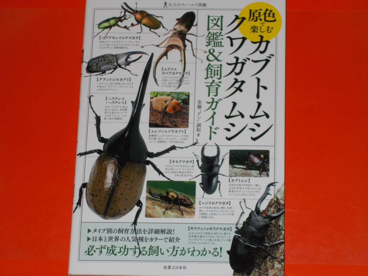 大人のフィールド図鑑★原色で楽しむ★カブトムシ クワガタムシ 図鑑&飼育ガイド★安藤“アン"誠起 (著)★株式会社 実業之日本社★拍卖