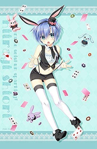 SAGA PLANETS かけぬけ 青春スパーキング! バニーガール 柊栞里 B2タペストリー拍卖