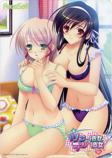 ツンな彼女 デレな彼女/PeasSoft ソフマップ特典下敷き拍卖