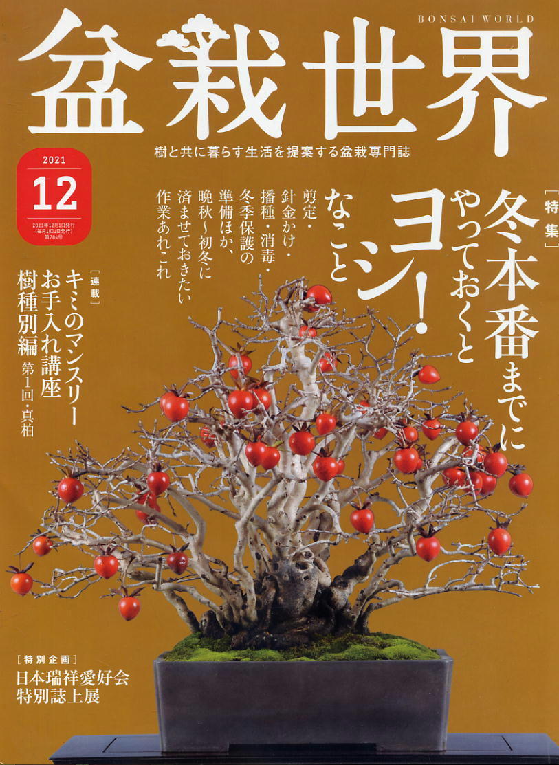 【盆栽世界】2021.12 ★ 冬本番までにやっておくとヨシ!なこと拍卖