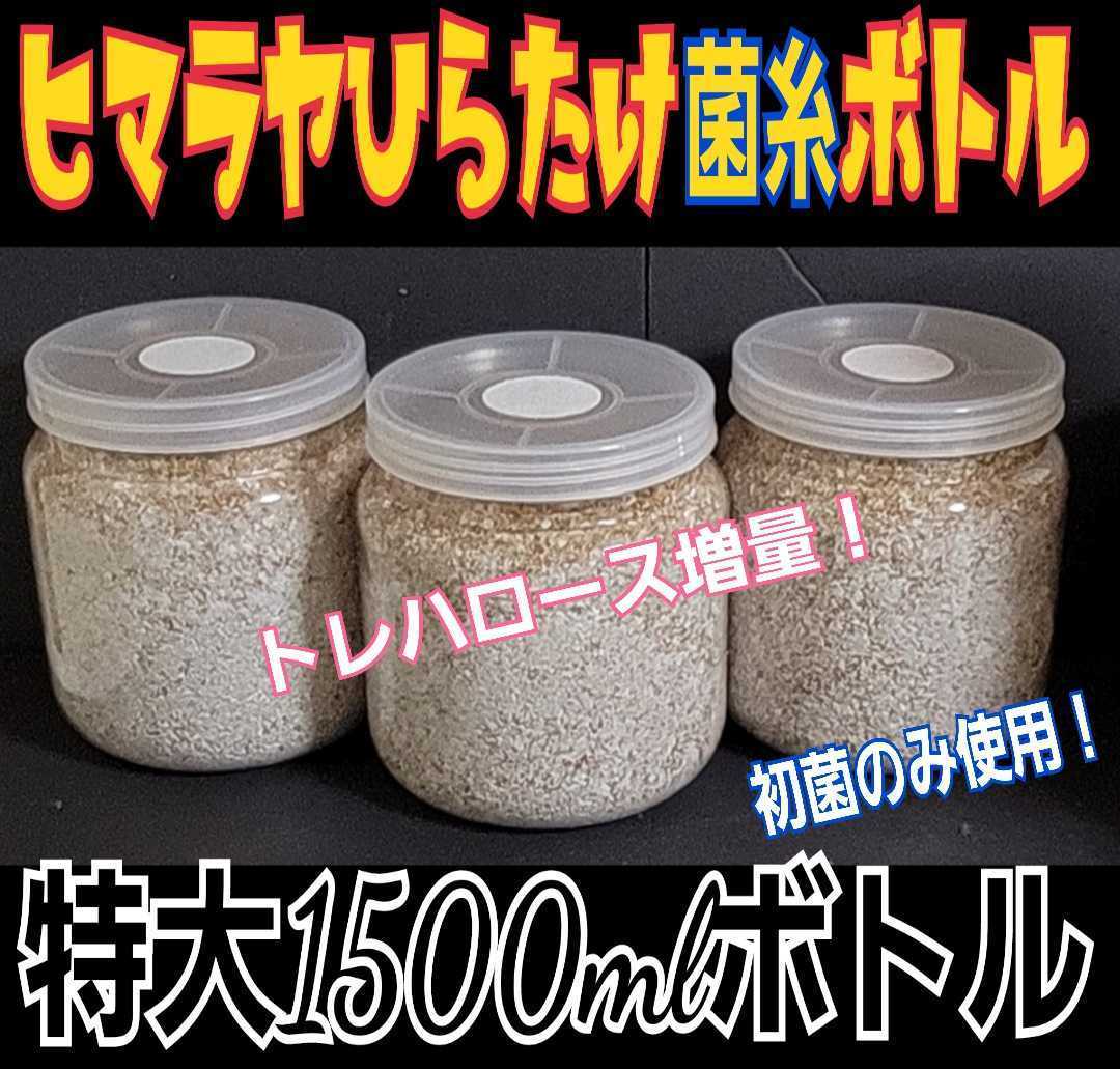 送料無料☆特大サイズ1500ml 3本セット☆ヒマラヤひらたけ菌糸瓶 極上!初菌のみ使用☆トレハロース・ローヤルゼリー、特殊アミノ酸強化拍卖