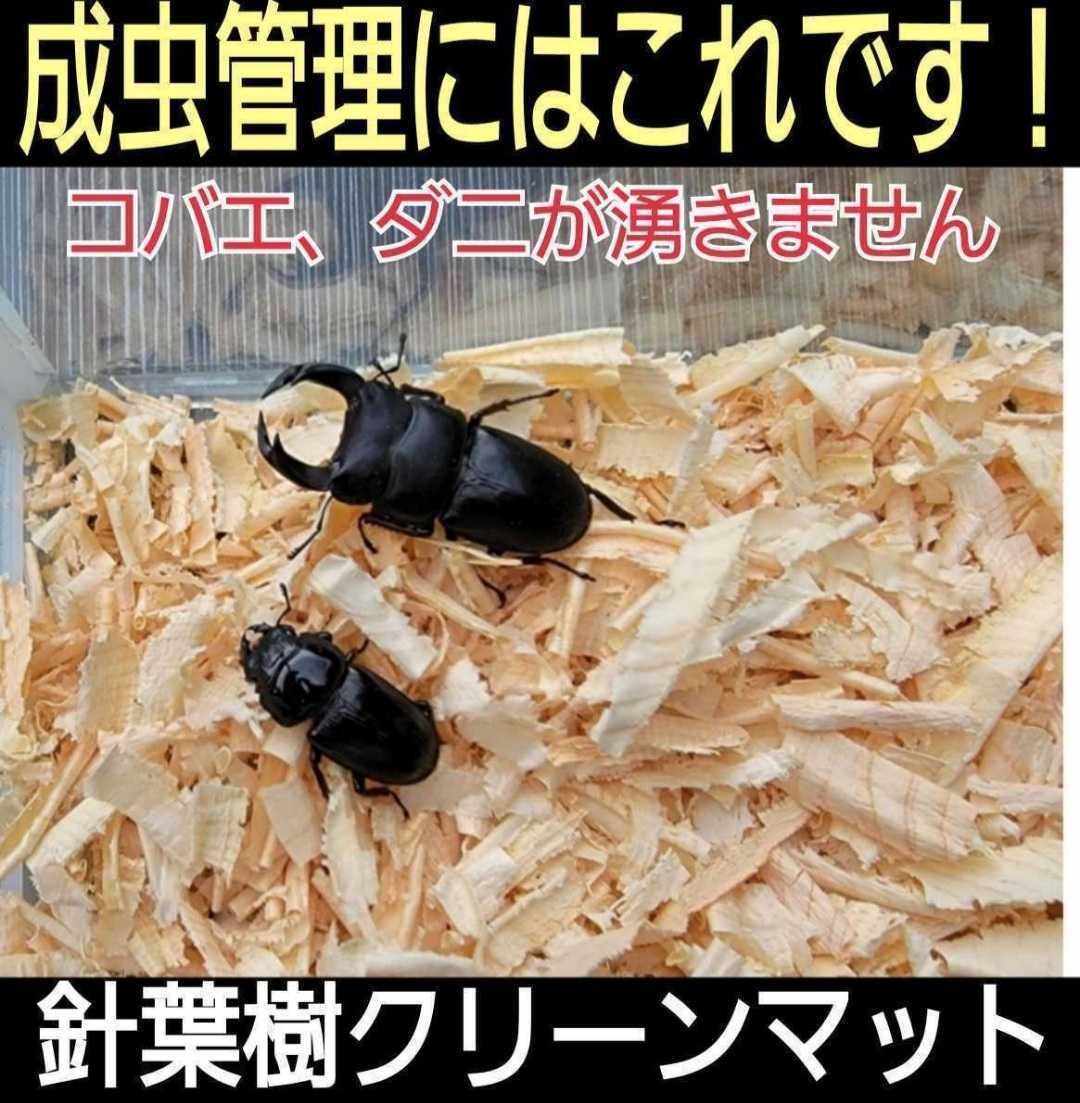 送料無料☆カブトムシ、クワガタの成虫飼育専用☆針葉樹クリーンマット☆ケース内が明るくなり生体が目立つ!ダニ、コバエも湧かなくなる!拍卖
