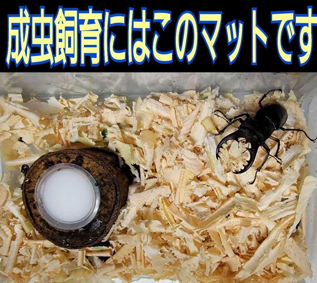 送料無料☆カブトムシ、クワガタの成虫飼育専用☆針葉樹クリーンマット☆ケース内が明るくなり生体が目立つ!ダニ、コバエも湧かなくなる!拍卖