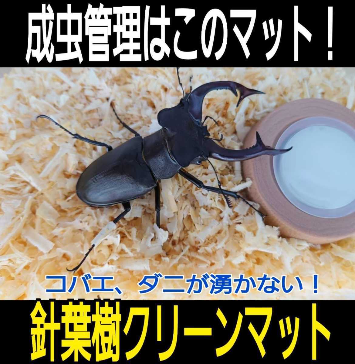 送料無料☆カブトムシ、クワガタの成虫飼育専用☆針葉樹クリーンマット☆ケース内が明るくなり生体が目立つ!ダニ、コバエも湧かなくなる!拍卖