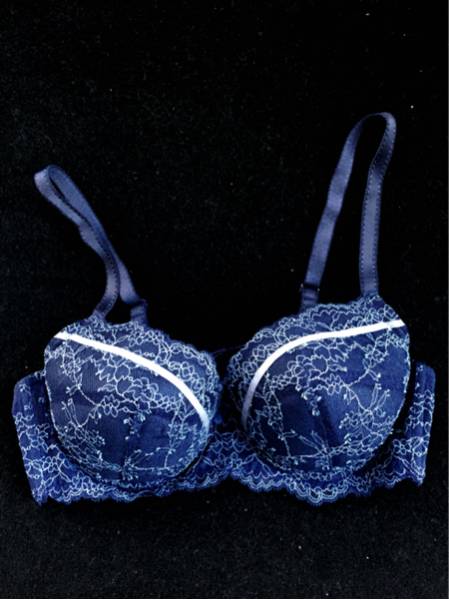 sale新品トリンプ 大人の高級ライン エッセンスESSENCE★高級レースの美しい 3/4カップブラジャー 紺 F70拍卖