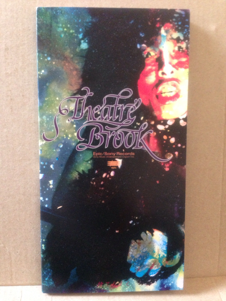 CDS シアター・ブルック 『捨てちまえ』 THEATRE BROOK 佐藤タイジ シングル拍卖