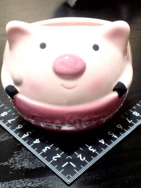 超素敵☆陶器製☆ガーデンポット☆ぶた☆約縦9X横9X高8.5(cm)残1拍卖