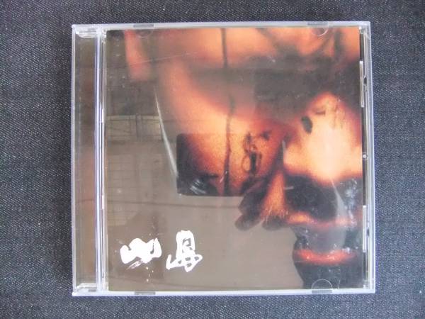 CDアルバム-4 小島 パンキッシュ・ロック・フューチャー こじま拍卖