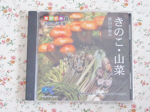 m/素材集 食材の旅8きのこ・山菜編 里山の恵み 春 秋 日本原風景拍卖