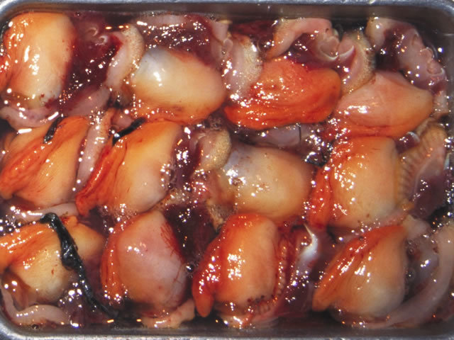 赤貝 開き 50個拍卖