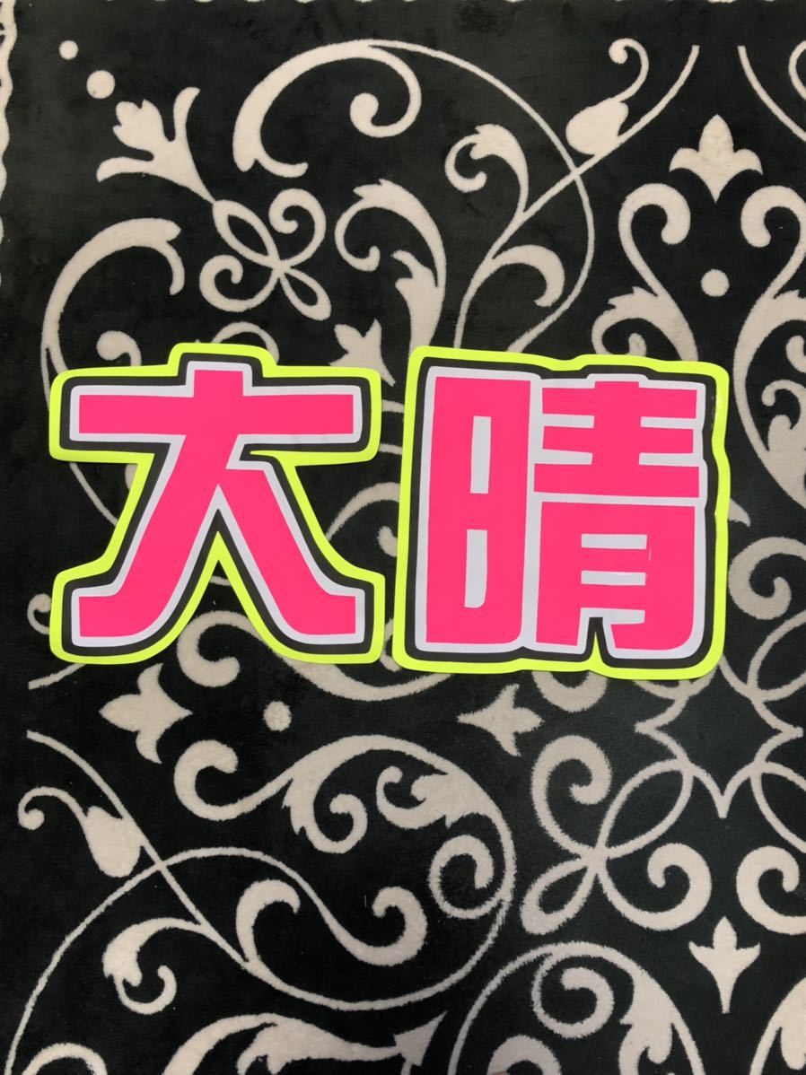 手作りうちわ★文字のみ★大晴拍卖
