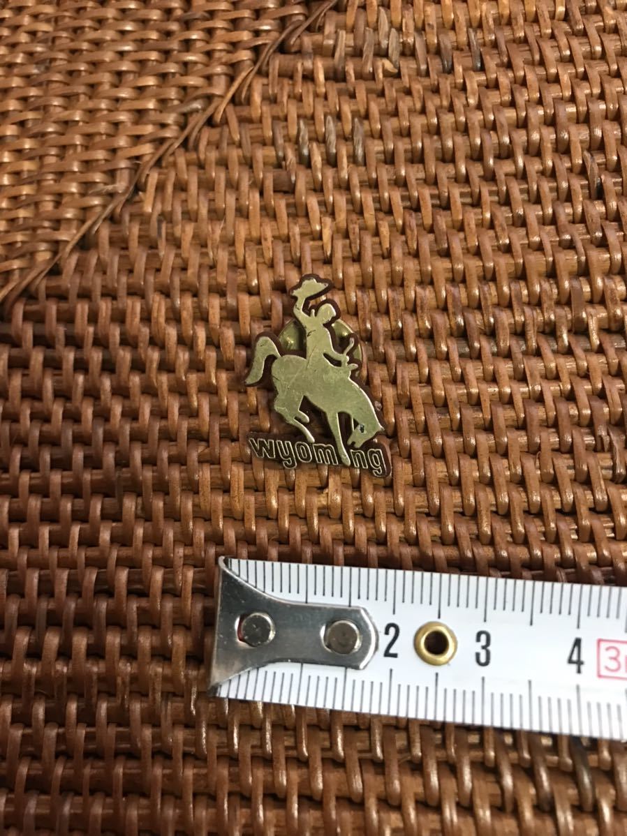 ◆Wyoming ワイオミング州 ピンバッチ◆A-2308拍卖